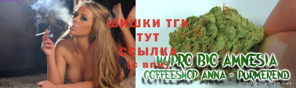 каннабис Корсаков