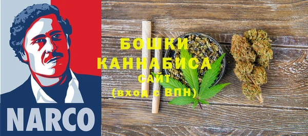 каннабис Корсаков
