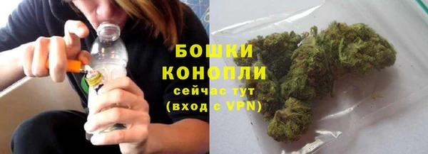 каннабис Корсаков